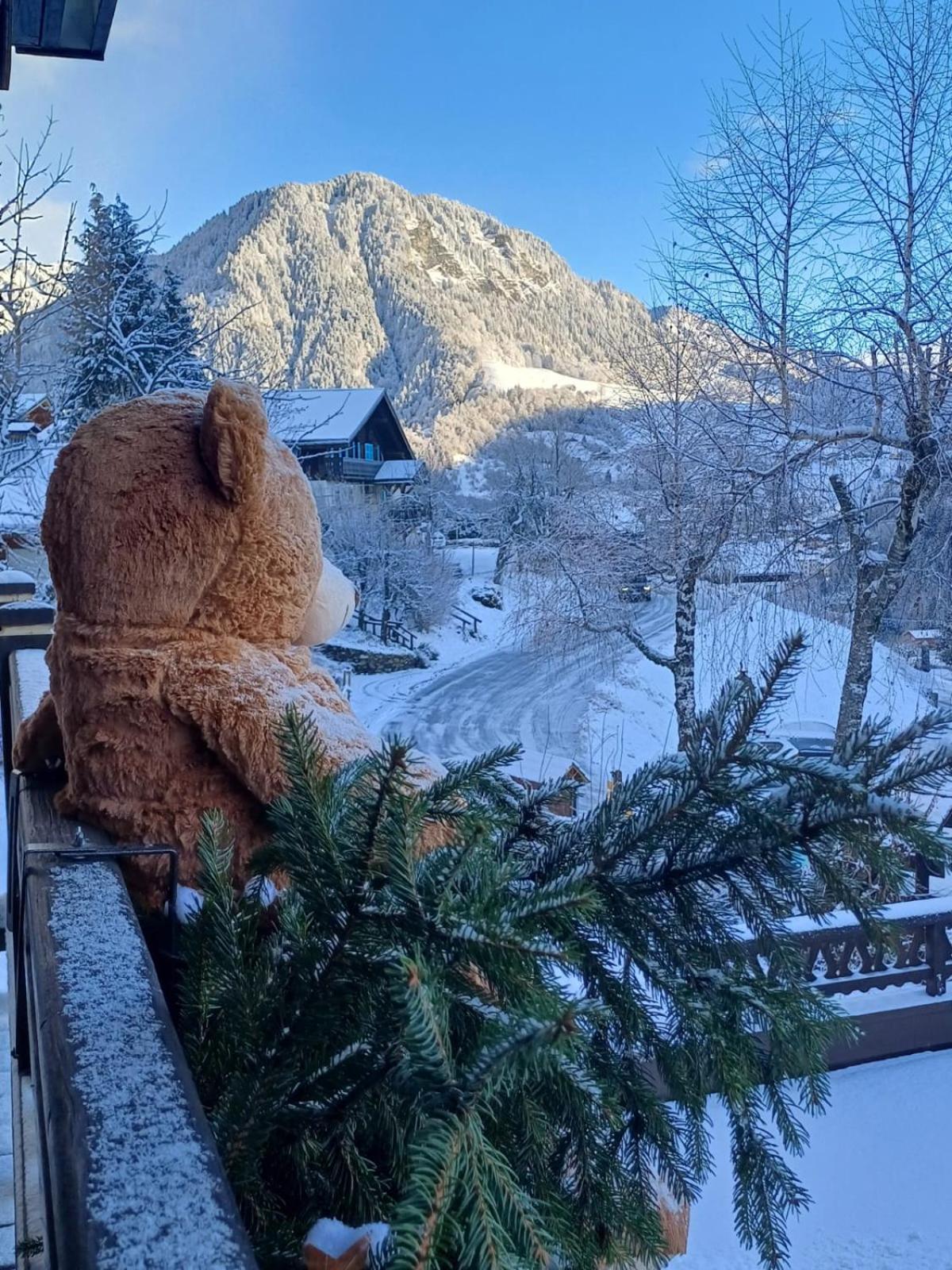 Chalet Appart'Hotel L'Eau Vive Saint-Nicolas-la-Chapelle  Exterior foto
